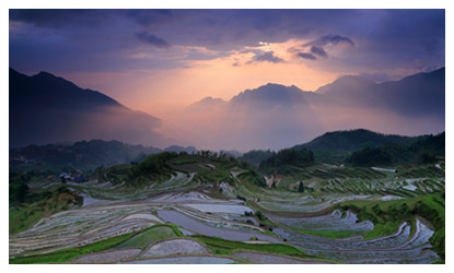 Yunhe Rice Terraces